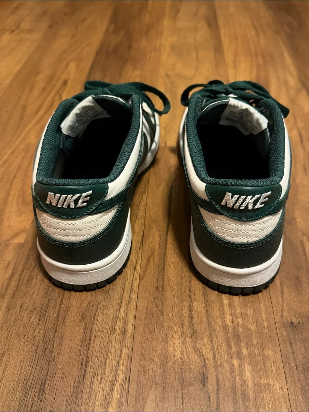 Nike classic dunk